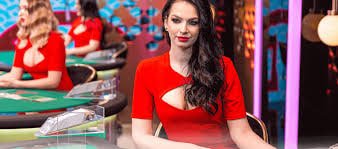 1111 casino বেট পেজে ক্রিকেট ম্যাচে বাজি ধরার দৃশ্য